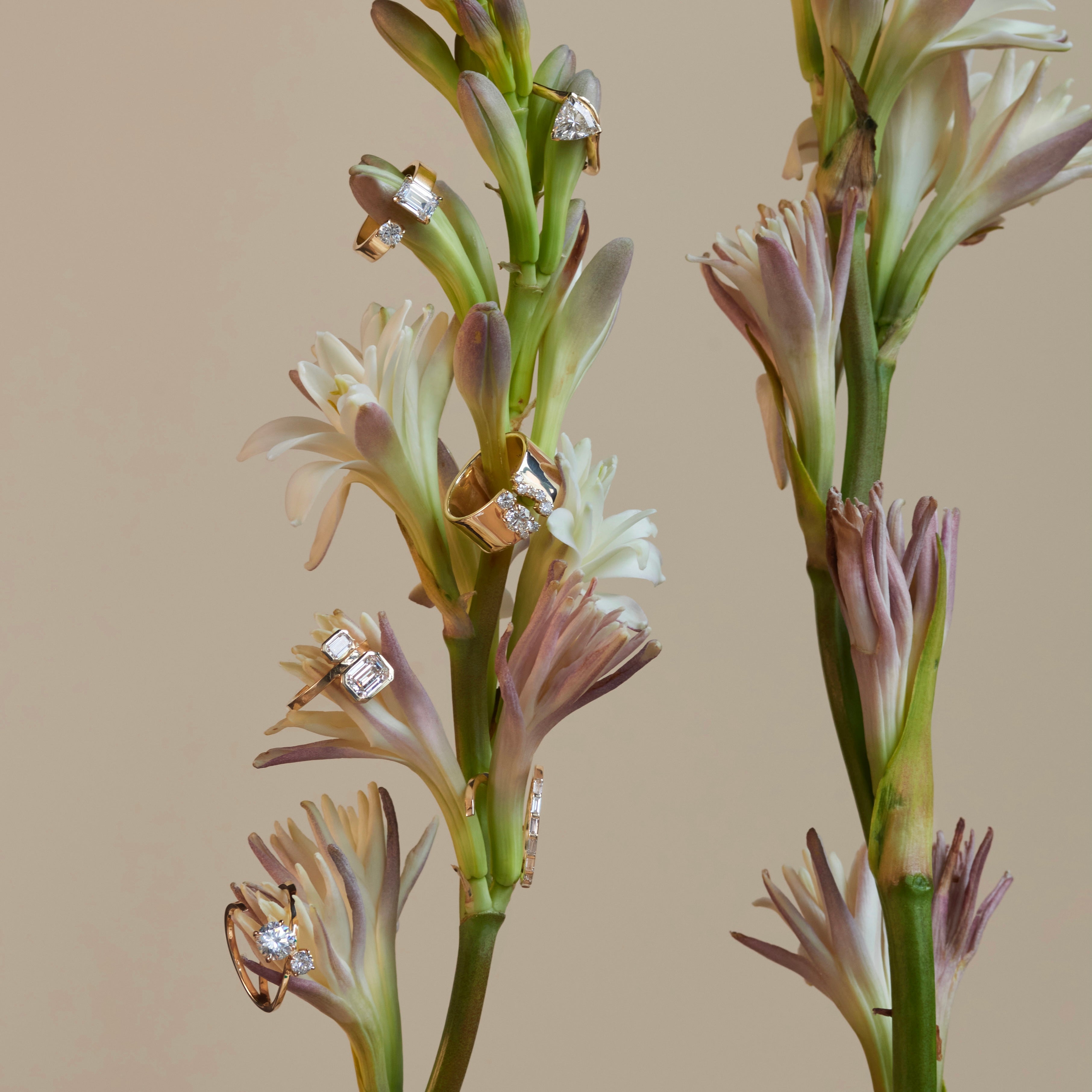 diamond rings on flowers with beige background