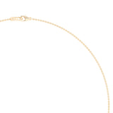 Beth X Shahla 14K Yellow Gold Chain