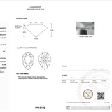 Diamond certification with IGI logo on white background