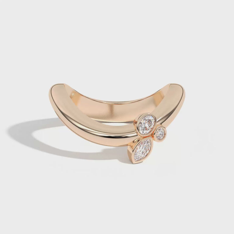 Shahla Karimi Jewelry Doshi Cluster Ring No. 1 14K Yellow Gold