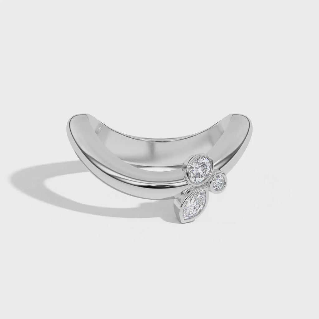 Shahla Karimi Jewelry Doshi Cluster Ring No. 1 14K White Gold