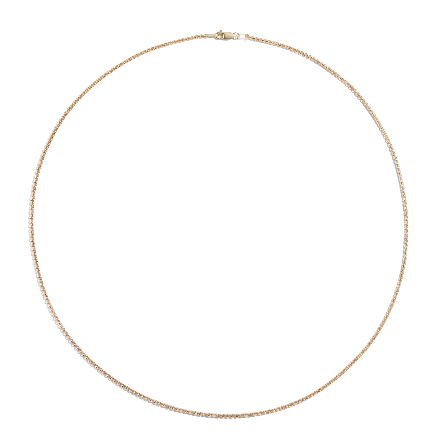 Shahla Karimi 1.7mm Rounded Box Chain 20" 14K Yellow Gold